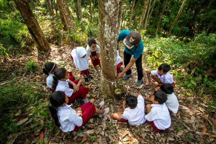 Ternyata Bukan dari Indonesia, Ini Kota yang Dikenal Sebagai Ibu Kota Karet Dunia - Image