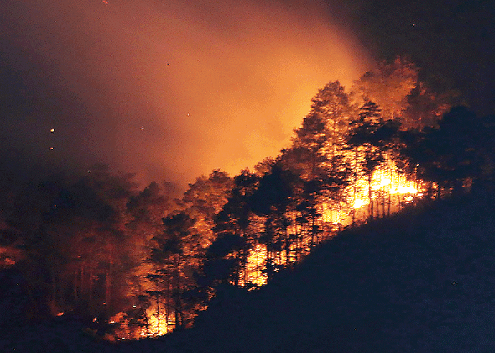 Karhutla di Gunung Merbabu, Api Lalap 848,5 Hektare, Ratusan Warga Mengungsi - Image