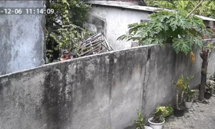 Teror Pelemparan Pecahan Genteng ke Rumah Warga di Sidoarjo, Netizen: Rombongane Masriah - Image