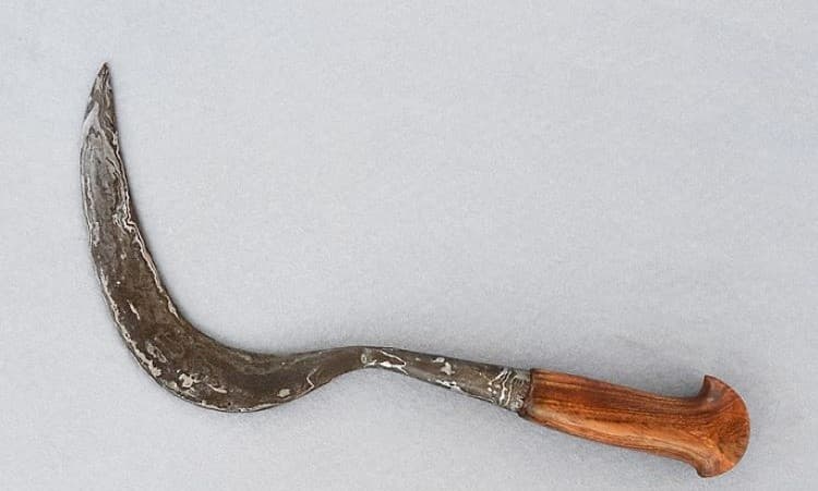 Tragedi di Kebumen: Anggota Satpol PP Tewas Disabet Celurit Saat Evakuasi ODGJ  - Image