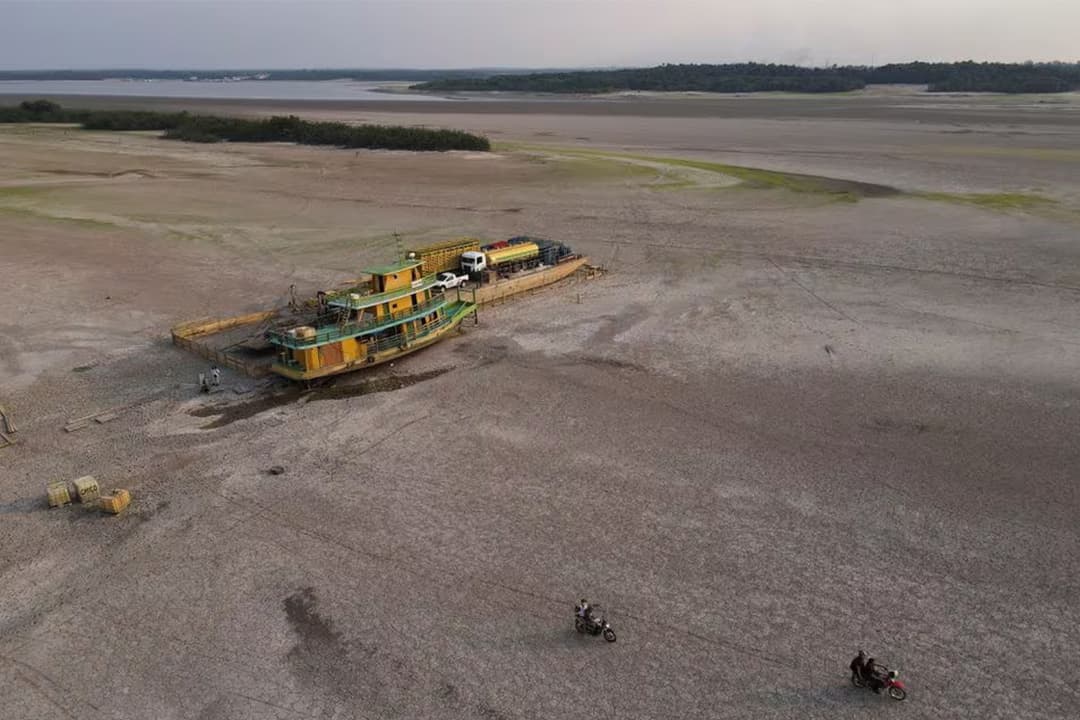 Peneliti Brasil Gandeng Masyarakat Adat Luncurkan Program Kursus Reboisasi Hutan Amazon - Image