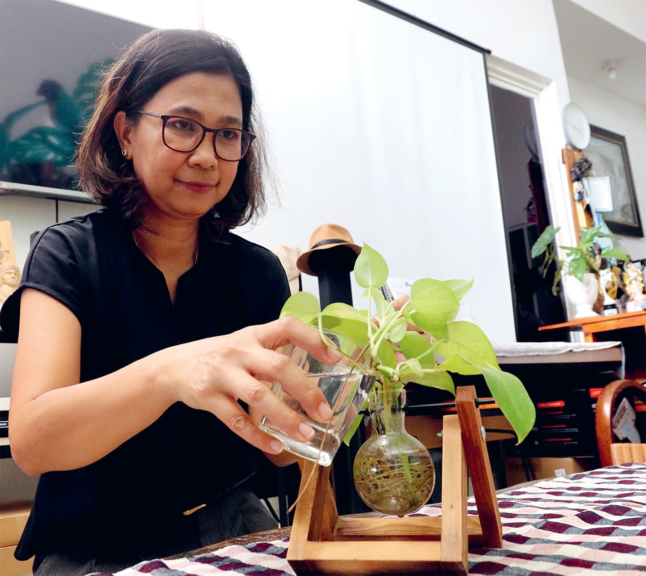 Menghias Rumah dengan Tanaman Bersistem Propagasi Air: Lebih Simpel dan Imut, tanpa Dipupuk - Image