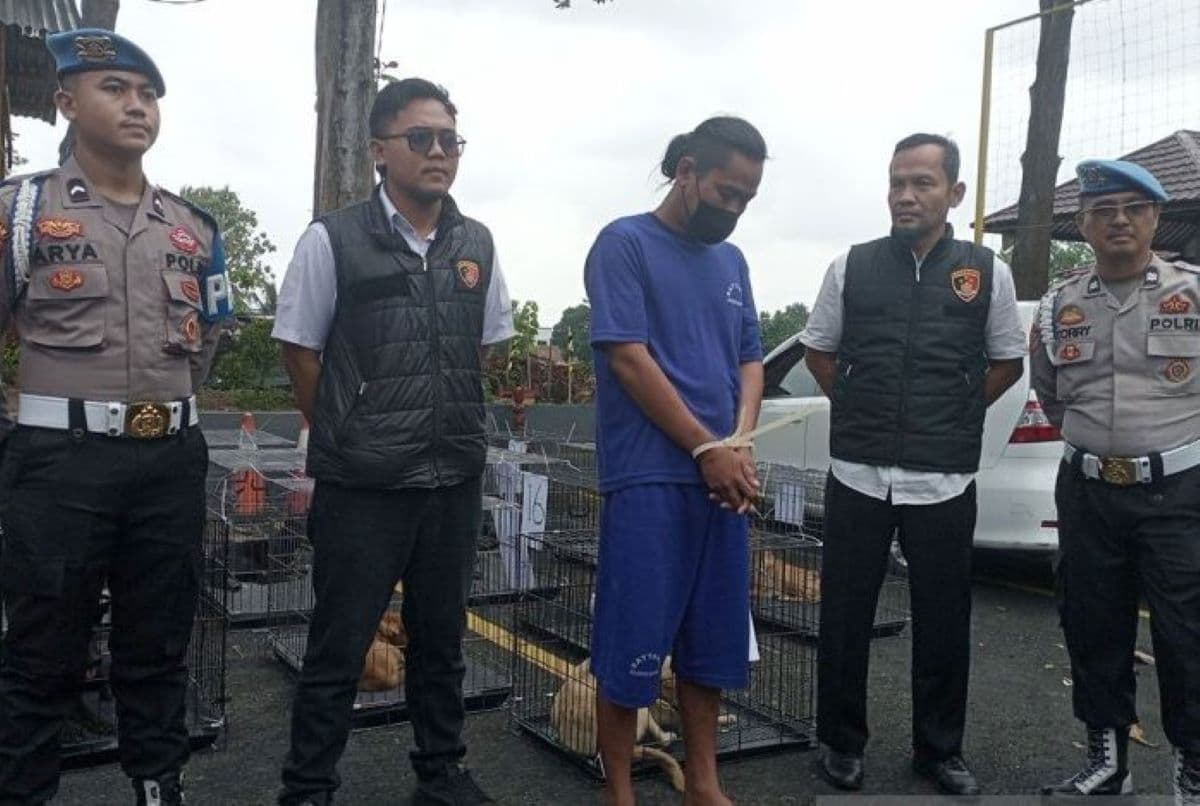 Polresta Banyumas Ungkap Kasus Pengiriman Anjing Untuk Konsumsi - Image