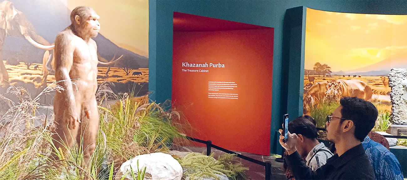 Dari Pameran Fosil Asli Manusia Purba di Museum Gajah, Fadli Zon Tegaskan Indonesia Adalah Rumah Homo Erectus - Image