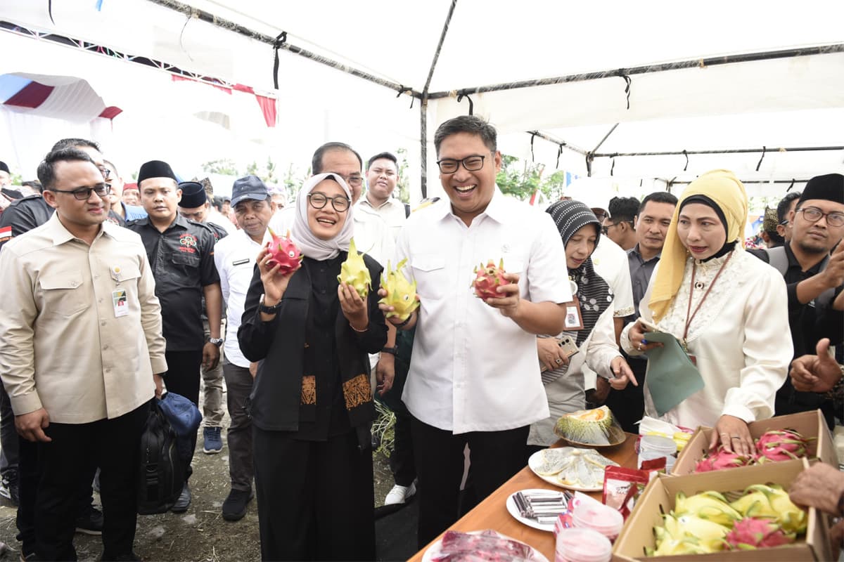 Sebanyak 9.000 Petani Milenial Banyuwangi Produksi Kopi, Buah Naga, dan Komoditas Pangan Siap Ekspor - Image