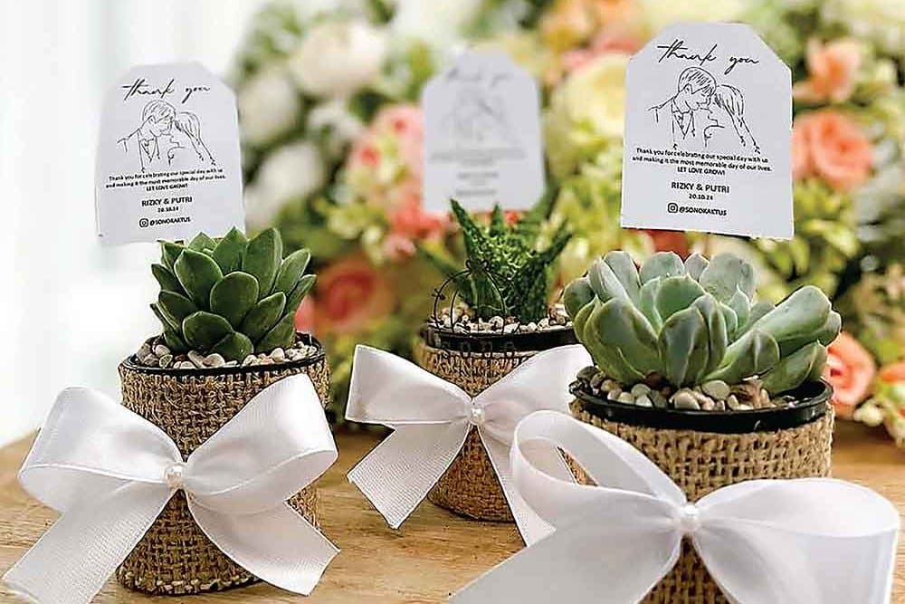 Kisah Sukses Anggi Nindya Sari Kembangkan Sono Kaktus, Cuan Ratusan Juta Per Bulan berkat Suvenir Tanaman - Image