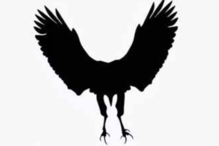 Kelinci atau Elang yang Terlihat Pertama Kali? Ungkap Apa yang Menjadi Ketakutan Terdalam Diri Anda - Image