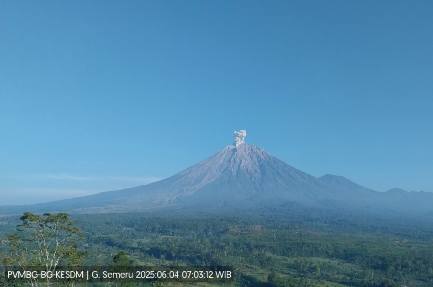Gunung Semeru Kembali Erupsi, Pos Pengamatan Laporkan Kolom Letusan Capai Ketinggian 800 Meter dari Puncak - Image