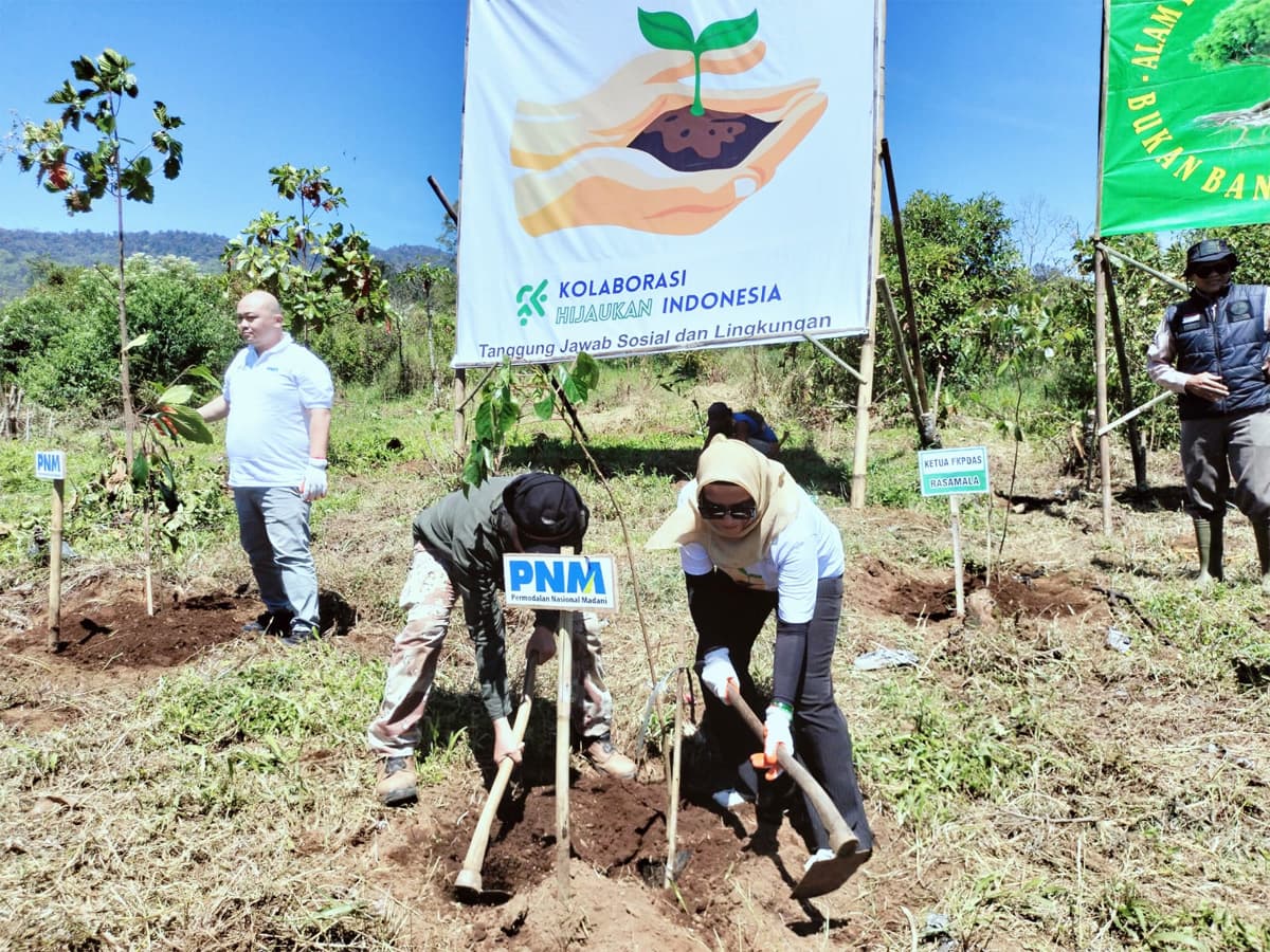 Bumi Semakin Hijau, Laut Semakin Hidup! Ini Aksi Nyata PNM untuk Alam Indonesia - Image