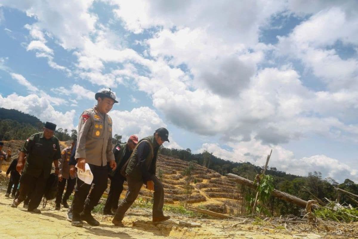 Apresiasi Polda Riau, Anggota DPR Minta Polri Tindak Tegas Pelaku Jual Beli Hutan Lindung - Image