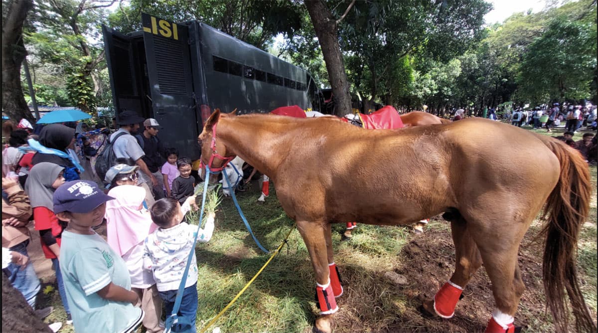 Momen Langka! Anak-Anak Serbu Kuda Berbadan "Kekar" Milik Polisi Usai Upacara HUT Bhayangkara di Monas, Serasa di Taman Safari - Image