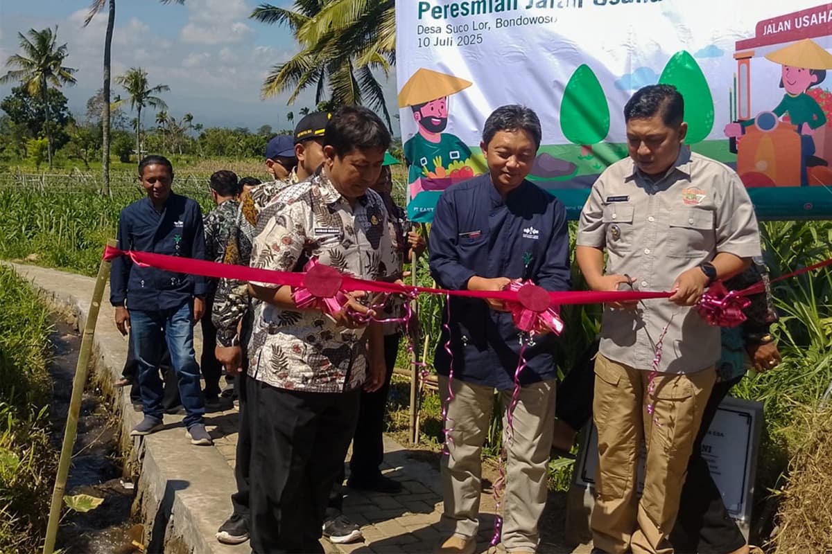 Pembangunan Jalan Usaha Tani Dukung Produktivitas Petani - Image