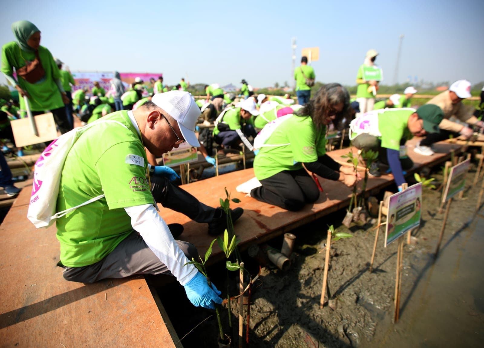 Libatkan 200 Sukarelawan Indonesia, Penanaman 1.000 Bakau di Tangerang Diharap Bisa Cegah Banjir - Image