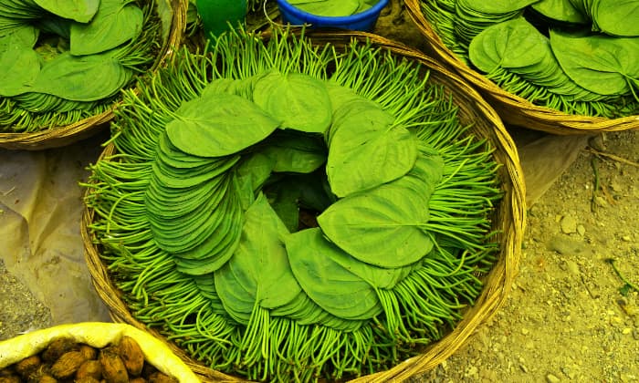 Disebut Sebagai Tanaman Multifungsi, Ketahui 5 Manfaat Daun Sirih untuk Kebersihan dan Kesehatan Tubuh - Image