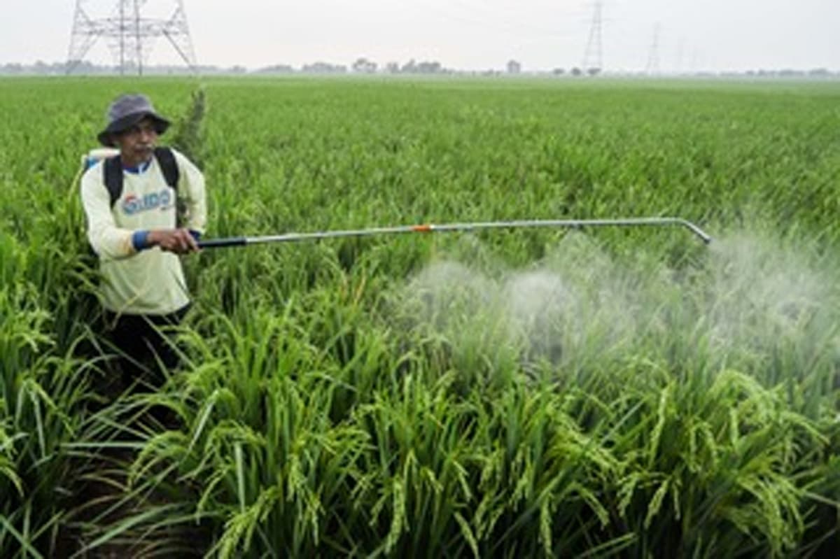 Teknologi Pertanian Presisi jadi Kunci Ketahanan Pangan, Pupuk Indonesia Dorong Ekosistem Inovasi - Image