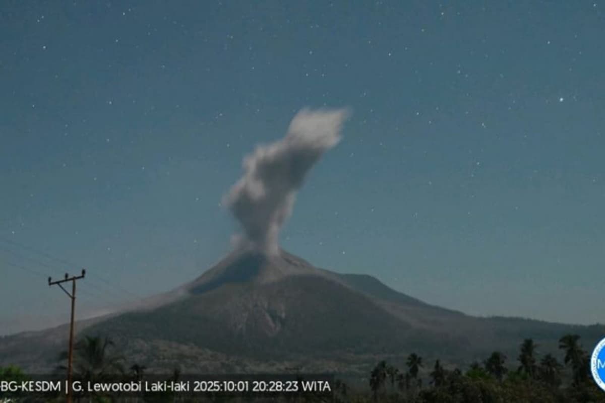 Batuk-batuk Lagi, Gunung Lewotobi Laki-laki Lontarkan Abu Setinggi 1.500 Meter - Image