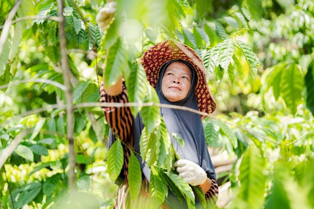 Raih Aprsiasi, Langkah ABMM Dorong Keberlanjutan Bisnis Lewat Dukungan Terhadap Kelestarian Lingkungan - Image
