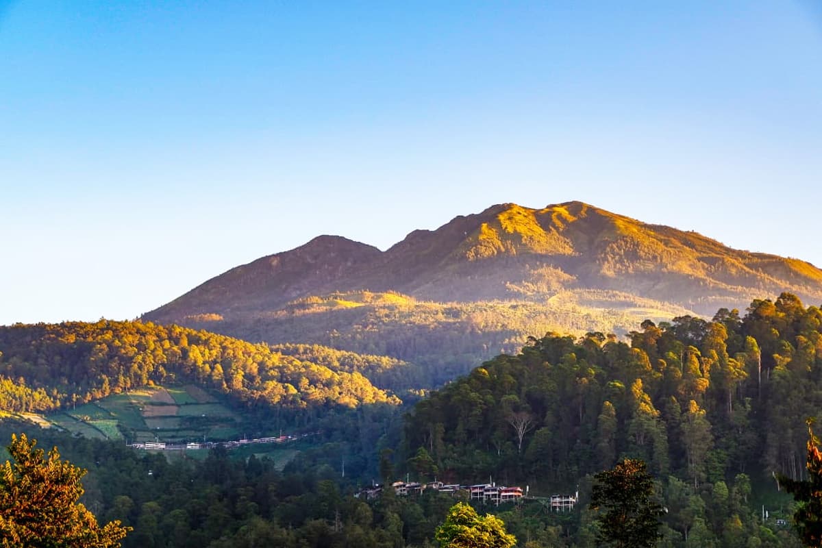 Ditemukan Tewas Meski Pencarian Sudah Ditutup, Berikut Kronologi Lengkap Hilangnya Yazid Ahmad Firdaus di Gunung Lawu - Image
