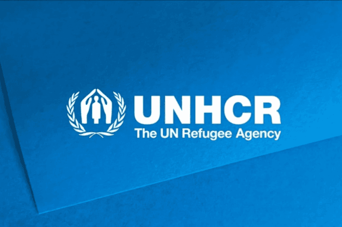 Mengenal UNHCR dan Perannya dalam Melindungi Pengungsi dan Menangani Krisis Kemanusiaan Global pada 2024 - Image