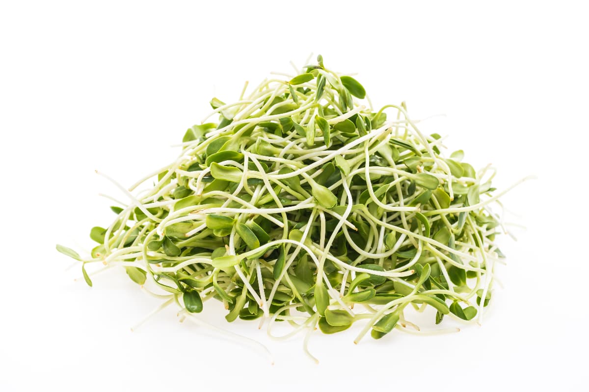 Benarkah Taoge Bermanfaat untuk Meningkatkan Kesuburan Pria? Simak Fakta Berikut Ini - Image