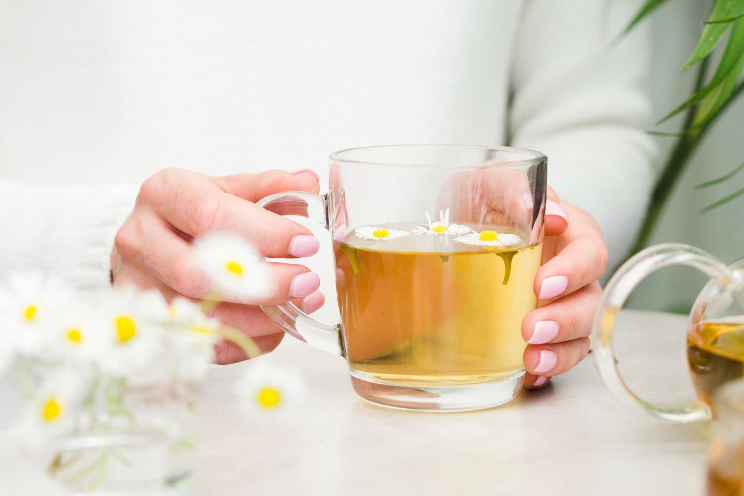 5 Teh Herbal untuk Meredakan Stres dan Membantu Anda Merasa Tenang - Image