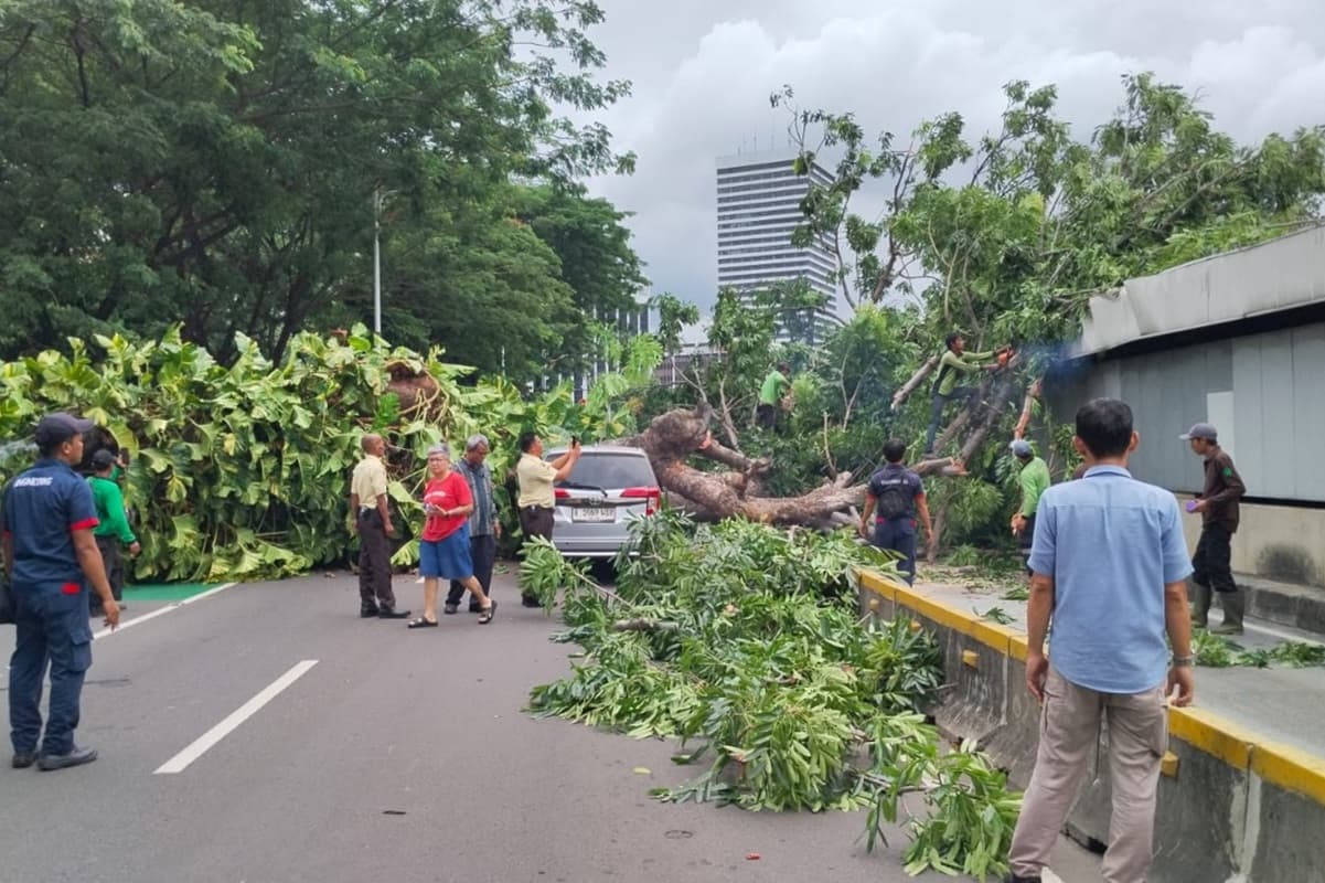 Insiden di Senayan, Pramono: Gangguan MRT karena Aliran Listrik Kena Pohon Tumbang - Image