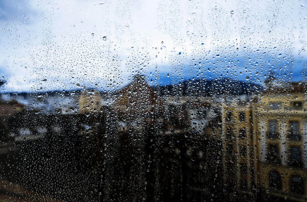 Rumah Terasa Lembap dan Berjamur? Kenali Bahaya Kesehatan dan 5 Langkah Jitu Mengatasinya - Image