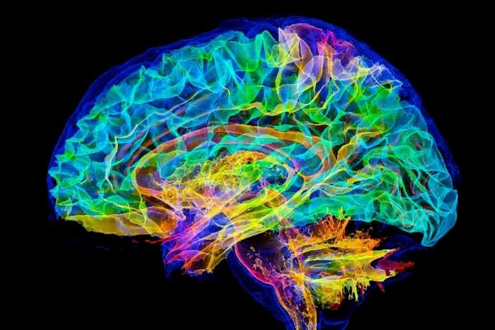 Dunia Memasuki Era Baru Simulasi Otak Manusia Lewat Superkomputer Eksaskala - Image