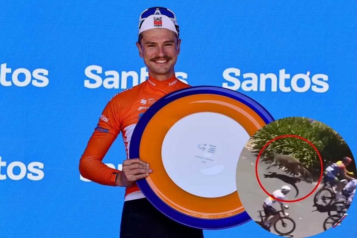 Unik! Pembalap Sepeda Ini Jadi Juara di Australia Meski Ditabrak Kanguru - Image