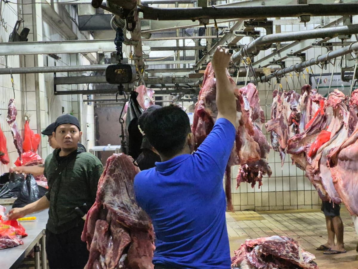 Pemerintah Pastikan Harga Sapi Hidup Stabil Jelang Ramadan dan Idulfitri, Pelaku Usaha: Kami Ikuti Aturan - Image
