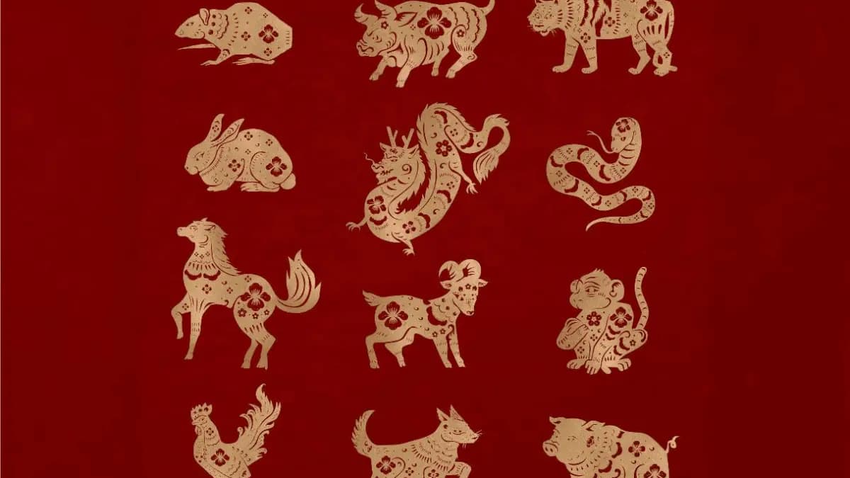 Ramalan Shio Besok Jumat 6 Maret 2026: Monyet, Ayam, Anjing, Babi - Image