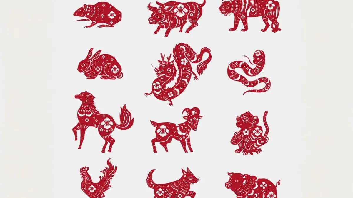 Ramalan Shio Besok Jumat 6 Maret 2026: Tikus, Kerbau, Macan, Kelinci - Image