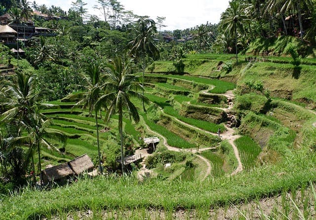 Pulau Dewata dan Pesonanya yang Tak Pernah Habis - Image