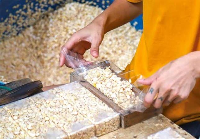 Pemerintah Tak Turun Tangan meski Perajin Tempe Mogok 3 Hari - Image