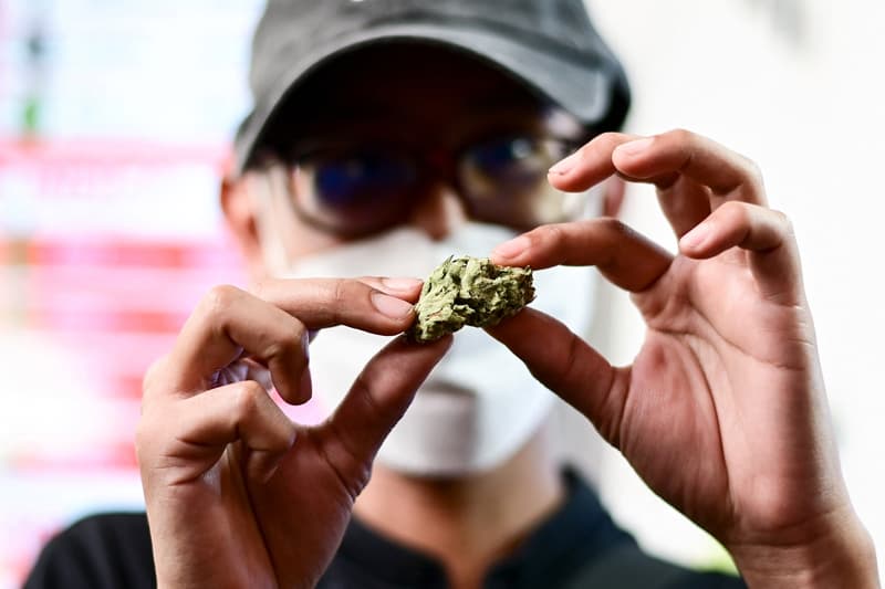 Thailand Cabut Ganja dari Daftar Narkoba, Bebas Ditanam dan Dijual - Image