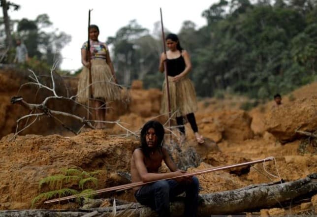 Jurnalis Inggris Hilang di Hutan Amazon, Brasil Gelar Pencarian - Image