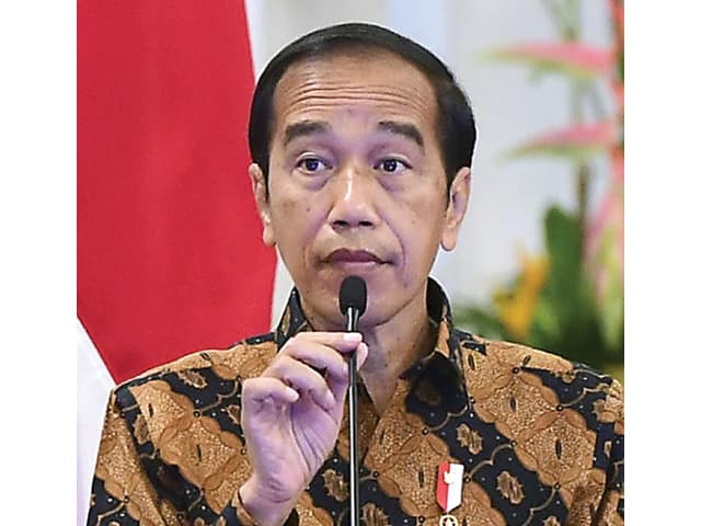 Tangani Cacar Monyet, Jokowi Minta Pengetatan Pintu Masuk Indonesia - Image