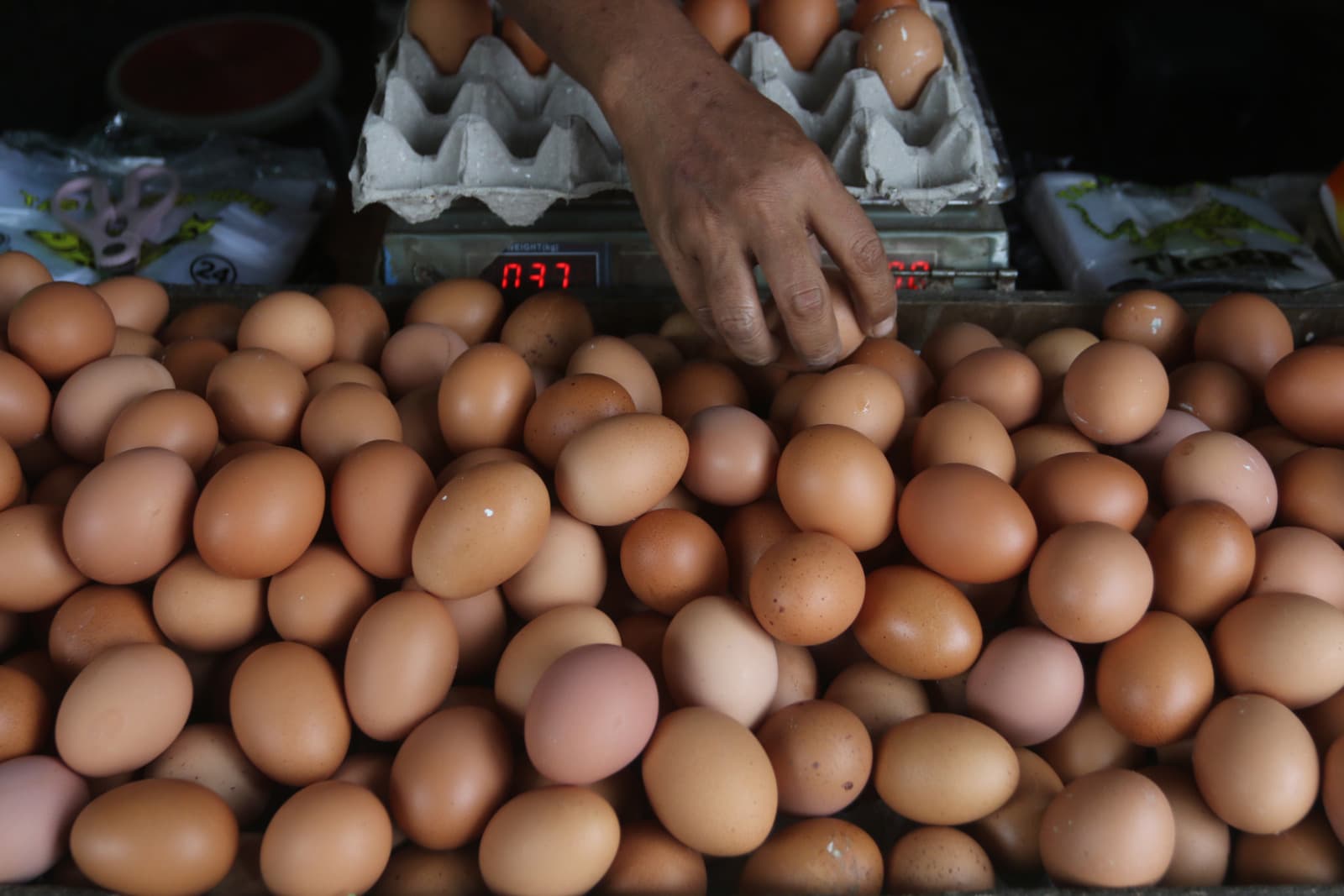 Pemicu Harga Telur Naik di Surabaya, Tembus Rp 32 Ribu per Kg - Image