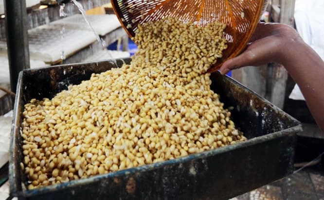 Pengrajin melakukan proses pembuatan tahu di kawasan Juanda Depok, Jawa Barat, Kamis (26/11/2020). Pemerintah berencana memasukkan komoditas kedelai dalam daftar larangan terbatas (lartas) yang memiliki konsekuensi pembatasan impor guna mengamankan produk - Image